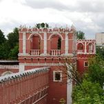 Monastère Donskoï à Moscou