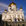 la Cathédrale du Christ Sauver à Moscou