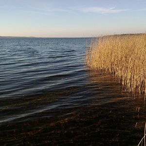 Croisière 5 étoiles Saint-Pétersbourg – Moscou, jour 3